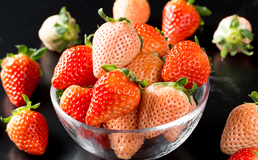 【【セット】岸川農園のいちご「さがほのか&淡雪」各2P