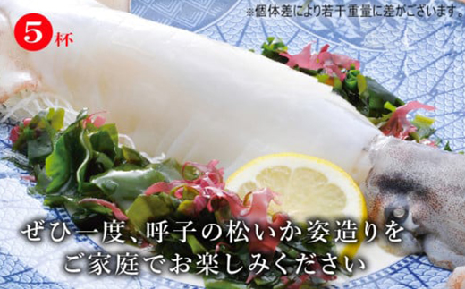 「佐賀呼子」松いか姿造り(250g×5杯)
