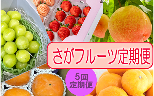 【定期便セット】佐賀の旬 フルーツ定期便 年5回(いちご、桃、シャインマスカット、柿、みかん)
