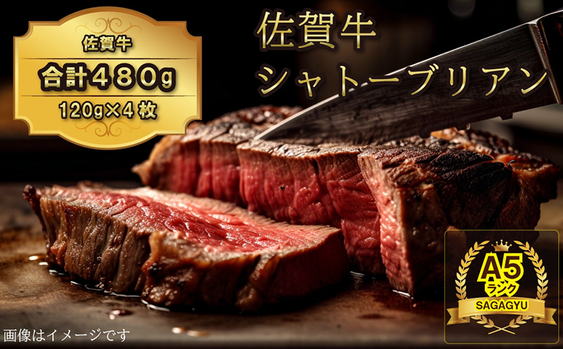 佐賀牛ヒレ シャトーブリアン480g（120g×4枚）