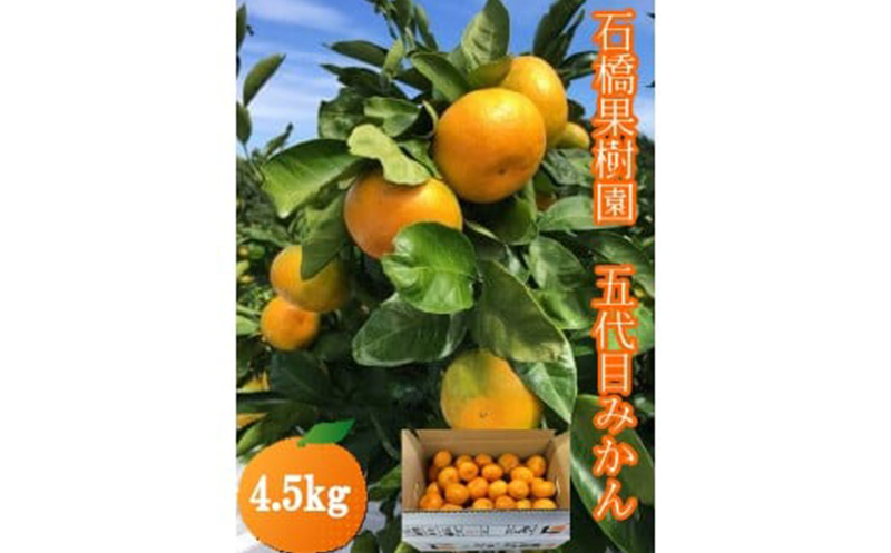 石橋果樹園 五代目みかん 4.5kg（40～50個）