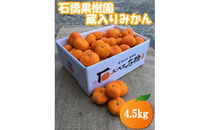 石橋果樹園 蔵入りみかん 4.5kg（35～45個）
