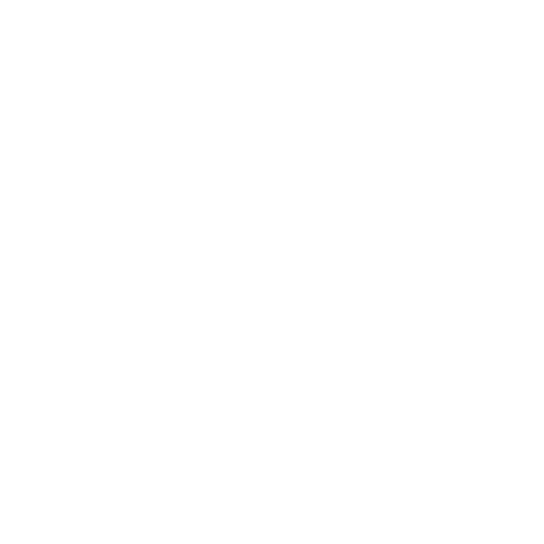 ジャパンハートの活動