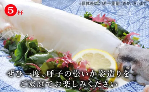 「佐賀呼子」松いか姿造り(250g×5杯)