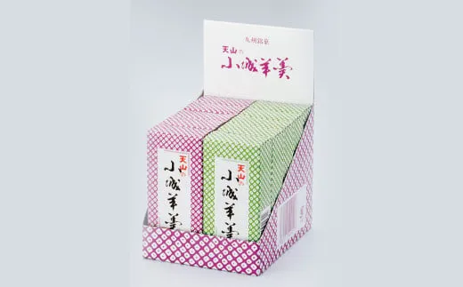【定期便セット】佐賀のフルーツ＆グルメ定期便 年6回(いちご、海苔、いか姿造り、シャインマスカット、うなぎ、佐賀牛ヒレ シャトーブリアン)