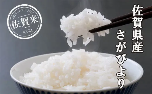 佐賀県産さがびより4kg
