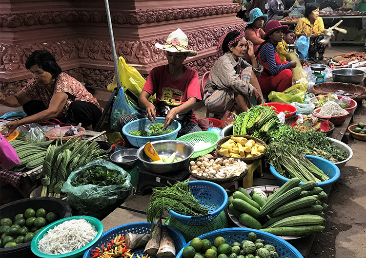 衛生的な調理場から安全な食事を カンボジア 栄養管理