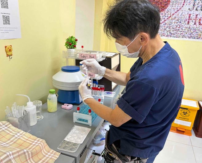 検査技師だより⑪ カンボジアの病院での輸血検査について
