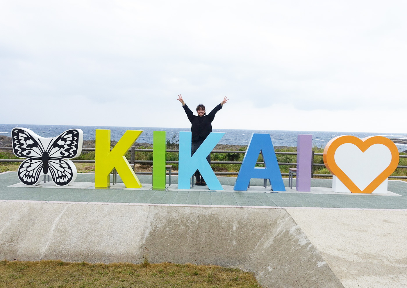 https://rikajob.net/archives/news/kikai_nurse_250502
