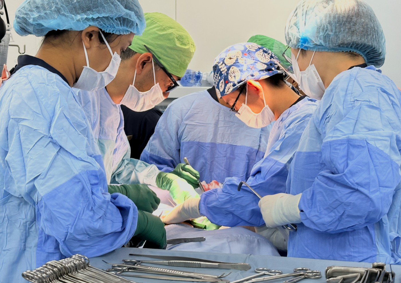 ジャパンハート　カンボジア 医療