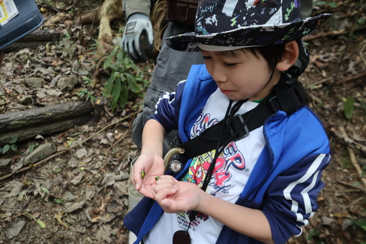 【スマイルスマイルプロジェクト】2026年1月活動レポート「可愛い虫博士と沖縄の自然を大満喫」