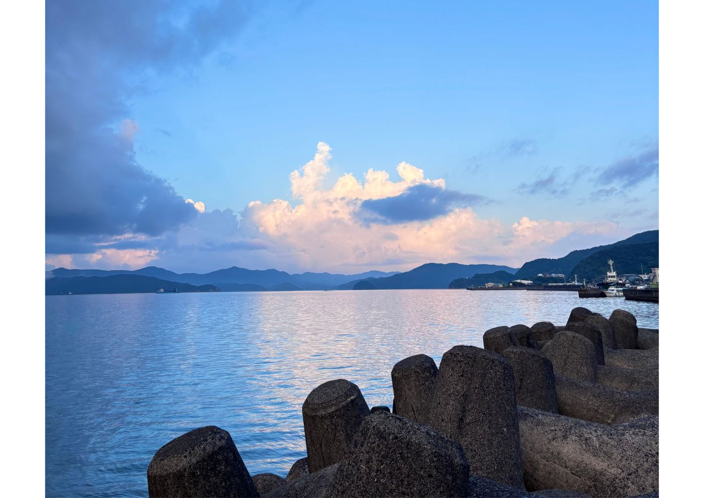 ジャパンハート 国内 離島医療 RIKAjob